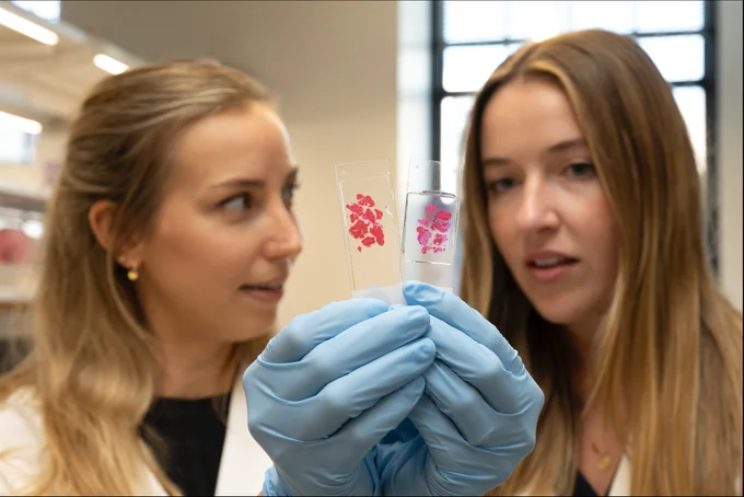 Two women holding sample strips with red markings.