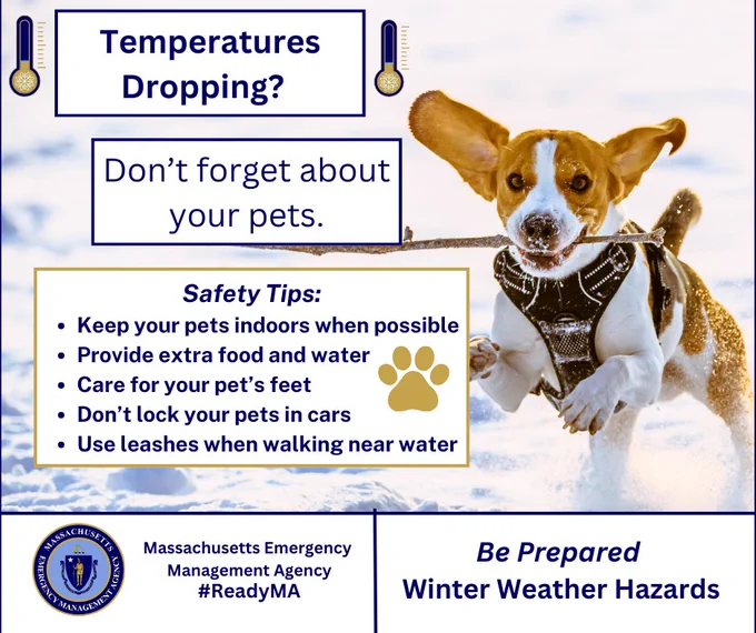 A graphic with a photo of a dog running in the snow with a stick with text that says "Temperatures Dropping? Don't forget about your pets. Safety Tips: Keep your pets indoors when possible Provide extra food and water Care for your pet's feet Don't lock your pets in cars Use leashes when walking near water." The MEMA logo is located in the lower left-hand side of the graphic with the words Massachusetts Emergency Management Agency #ReadyMA. On the right-hand side is text that says "Be Prepared Winter Weather Hazards."
