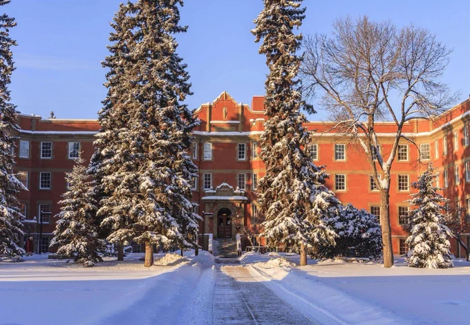 Snow-covered pathway leading to the red brick building of the University of Alberta, flanked by large evergreen trees with snow-dusted branches, bathed in golden sunlight.