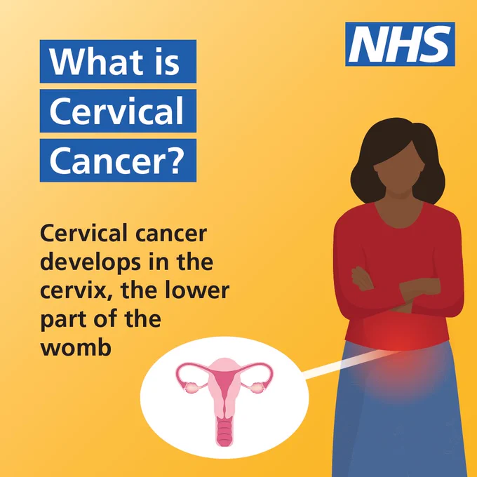 An illustration of a woman, with a small graphic illustrating a cervix. Text reads 'What is cervical cancer? Cervical cancer develops in the cervix, the lower part of the womb'