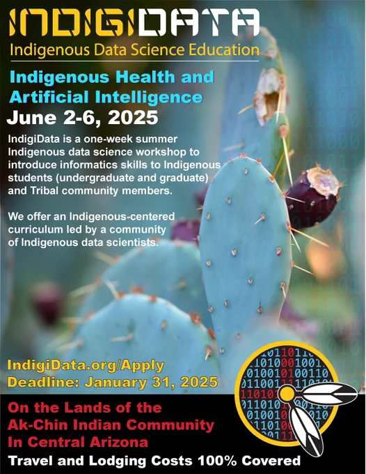 virtual flyer with workshop details. background visual is a photo of a cactus. Apply by 1/31 at IndigiData.org/Apply