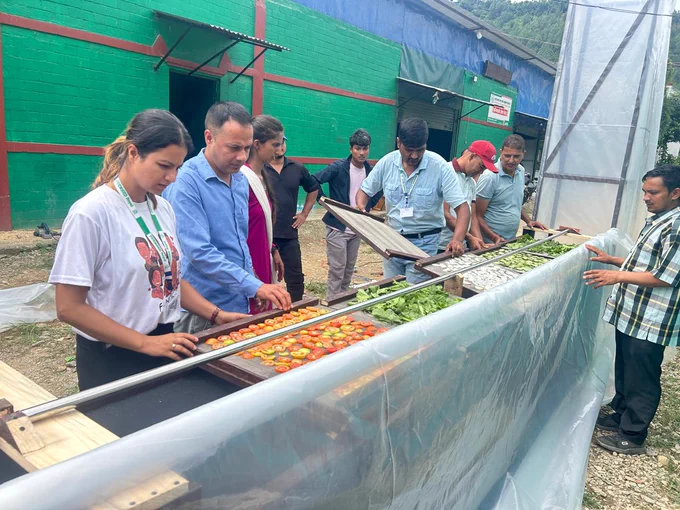 Agricultural products are layered on trays for drying in prepared Solar Chimney Dryer.