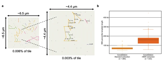 Figure 3a shows clusters generated from the flow cell are organized into distinct templates, visually represented in different colors. Within each template, the clusters are sequentially arranged based on their genomic coordinates. The connections between paired reads are annotated with their corresponding genomic distances.

