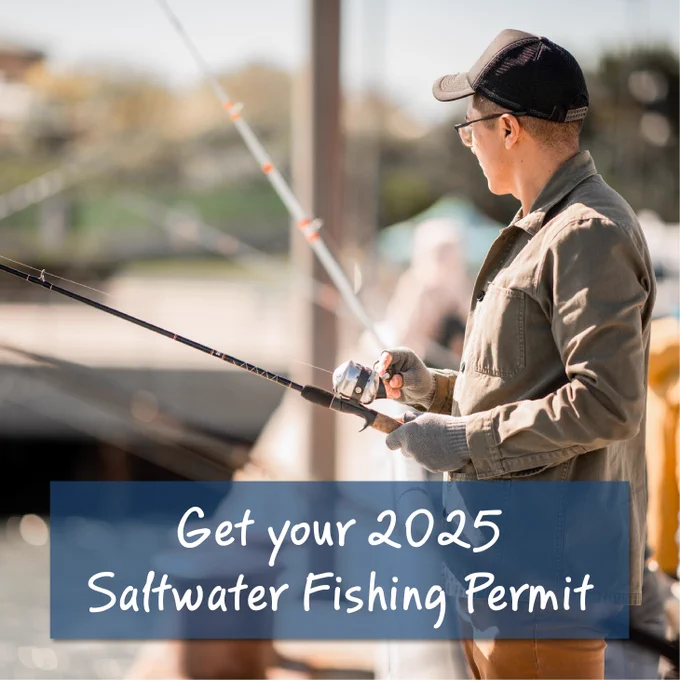 An angler fishing from a pier, with the words "Get your 2025 Saltwater Fishing Permit".