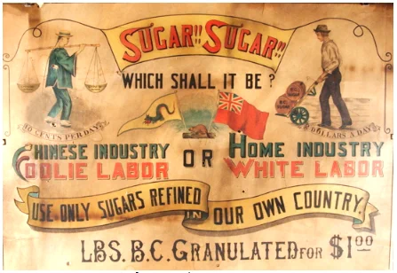 Poster that says, Sugar, sugar which shall it be?

Chinese industry with coolie labour or Home industry with white labour?