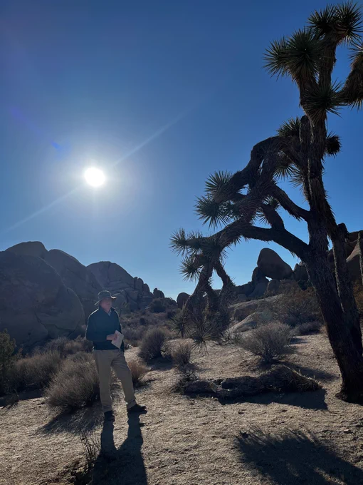 Hiking in Joshua Tree National Park