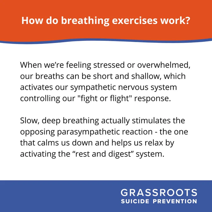 Text reads 'How do breathing exercises work?' 'When we’re feeling stressed or overwhelmed, our breaths can be short and shallow, which activates our sympathetic nervous system controlling our "fight or flight" response. 

Slow, deep breathing actually stimulates the opposing parasympathetic reaction - the one that calms us down and helps us relax by activating the “rest and digest” system.'