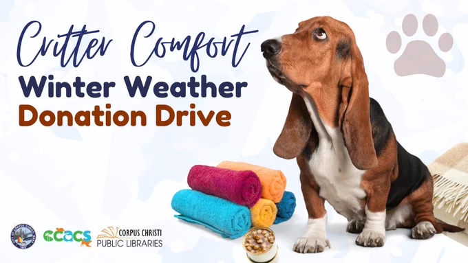 Image of a basset hound with towels and a blanket next to him. Text reads Critter Comfort Winter Weather Donation Drive.
