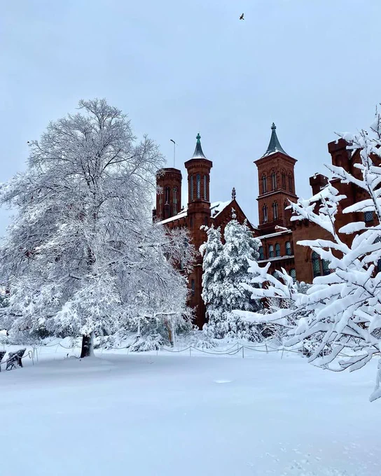 Snow-covered trees in front of the Smithsonian Castle in Washington, D.C. on a winter day.