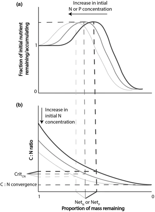 Nutrient release curves and carbon  :  nitrogen ratio of woody litter against the proportion of mass remaining. 