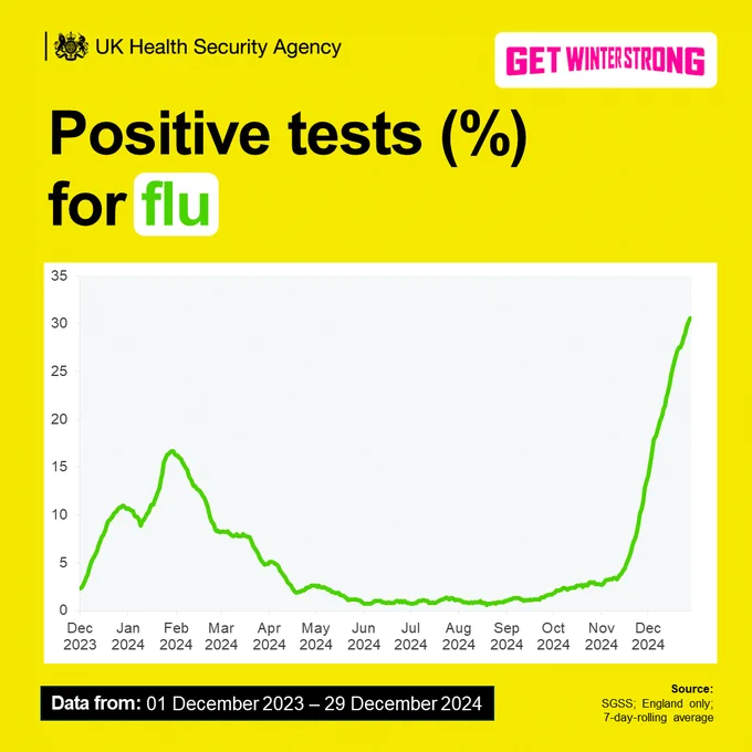 A chart showing positive tests for flu, showing a spike from November to December. Data from 1 December 2023 to 29 December 2024.