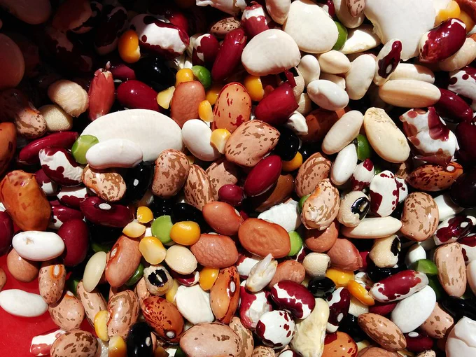 A colorful assortment of various beans and legumes, including kidney beans, pinto beans, and black-eyed peas, closely packed together.
