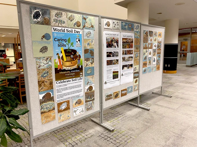 Photo of a series of soil paintings displayed on modular walls, with World Soil Day poster. 