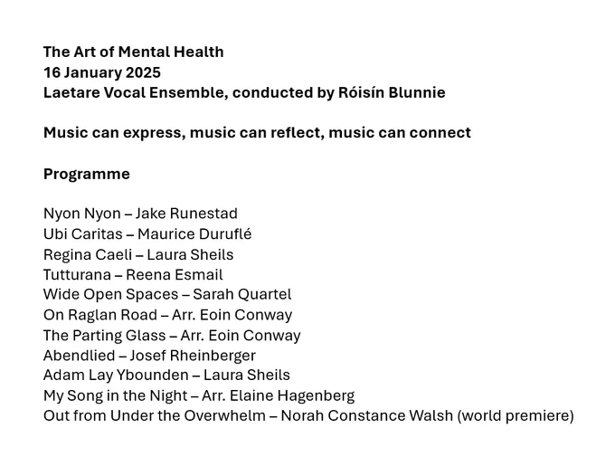 The concert programme, and the subtitle Music can express, music can reflect, music can connect