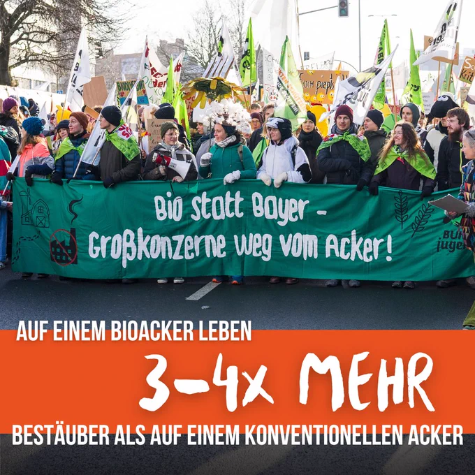 Demozug mit Frontbanner "Bio statt Bayer - Großkonzerne weg vom Acker"
Bildunterschrift "Auf einem Bioacker leben 3 - 4x mehr Bestäuber als auf einem konventionellen Acker" 