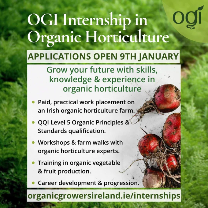 Organic Growers of Ireland Internship programme 2025 opens 9th January poster with organic vegetables