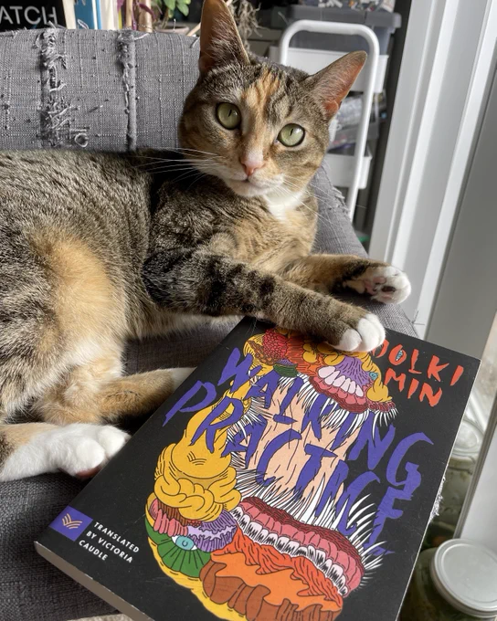 An orange and brown calico tabby sitting on a chair next to a copy of Walking Practice by Dolki Min.