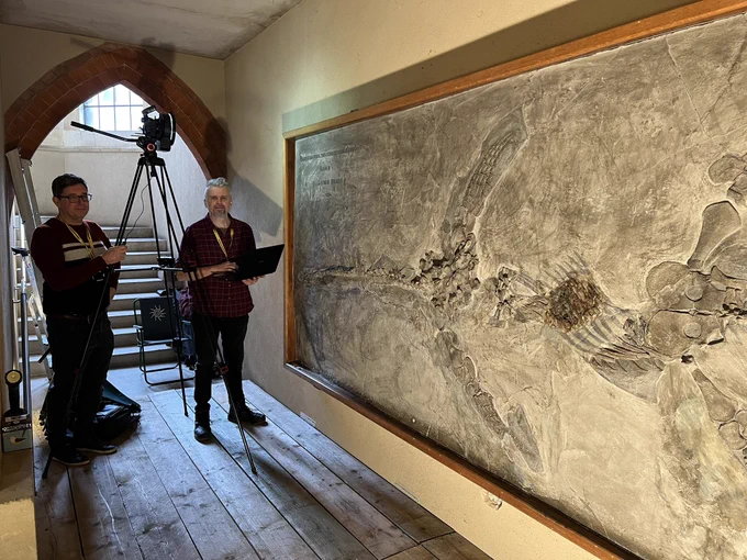 Two men next to a large fossil marine reptile