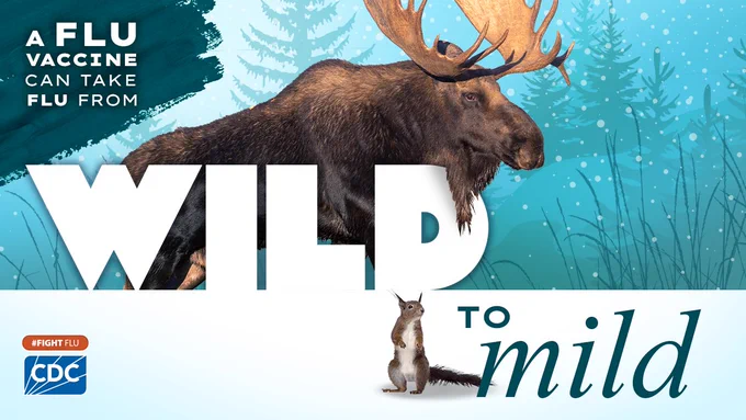 A large moose and a small squirrel, overlay text reads, “A flu vaccine can take flu from wild to mild.” The hashtag Fight Flu and CDC logos are on the bottom. 