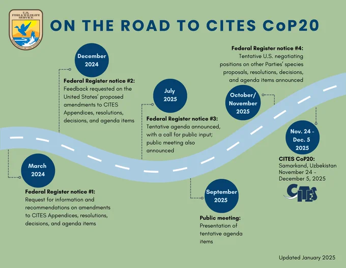 A graphic titled "On the Road to CITES Cop20" It has a road moving across the page with 6 blue dots each with a date and an action item, including March 2024 (Federal Register notice #1), December 2024 (Federal Register notice #2), July 2025 (Federal Register notice #3), September 2025 (Public meeting), October/November 2025 (Federal Register notice #4), and November 24 - December 5, 2025 (CITES CoP20).