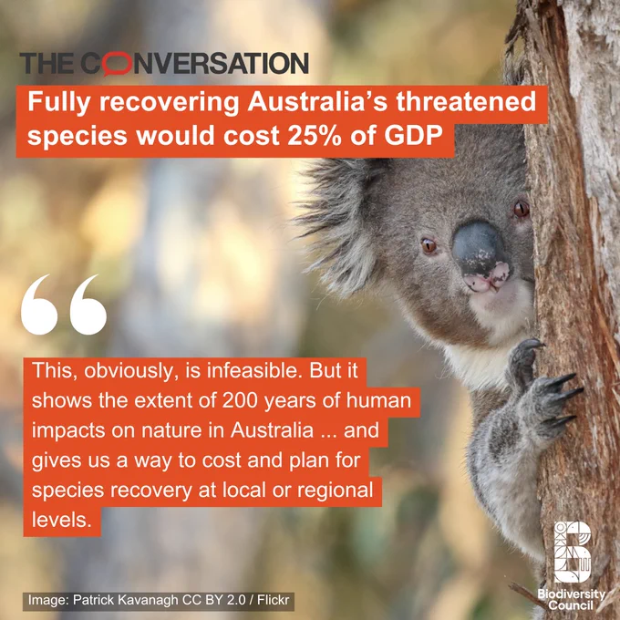 Koala pausing while climbing up a tree. Text over the image says "Fully recovering Australia’s threatened species would cost 25% of GDP". A quote from the article reads "This, obviously, is infeasible. But it shows the extent of 200 years of human impacts on nature in Australia ... and gives us a way to cost and plan for species recovery at local or regional levels."
