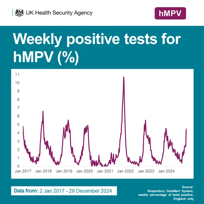 Weekly positive tests for hMPV (%) in England. Data shows 2 Jan 2017 to 29 Dec 2024