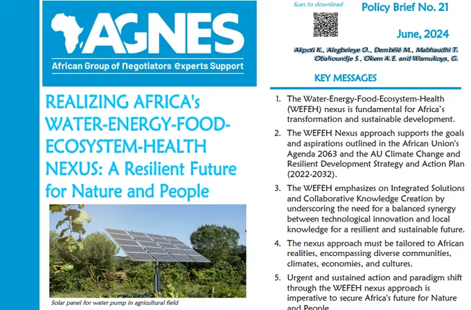 AGNES Policy Brief "Realizing Africa's Water-Energy-Food-Ecosystem-Health Nexus: A Resilient Future for Nature and People"