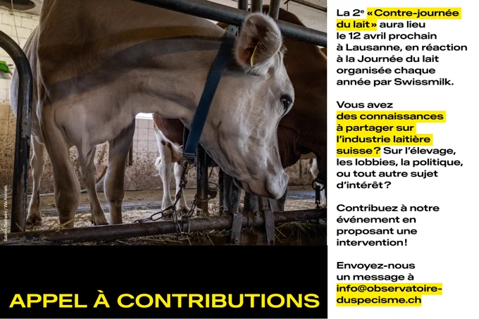 Photo d'une vache brune entravée, avec le texte suivant: Appel à contributions. La 2e « Contre-journée du lait » aura lieu le 12 avril prochain à Lausanne, en réaction à la Journée du lait organisée chaque année par Swissmilk. Vous avez des connaissances à partager sur l’industrie laitière suisse ? Sur l’élevage, les lobbies, la politique, ou tout autre sujet d’intérêt ? Contribuez à notre événement en proposant une intervention ! Envoyez-nous un message à info@observatoire-duspecisme.ch