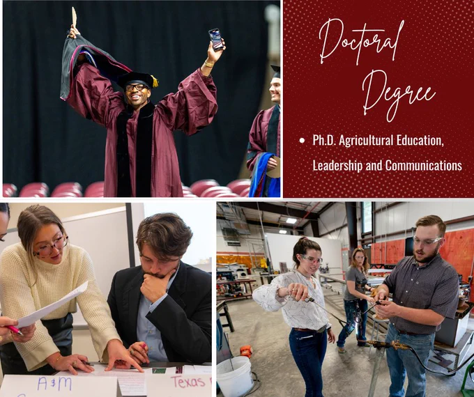 Collage of graduation and educational scenes including a joyful graduate in cap and gown holding a diploma, a group of students engaged in a discussion over documents, and two people conducting a mechanical experiment.