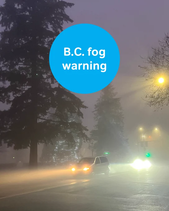 cars driving in the fog. Text on top says, "B.C. fog warning"