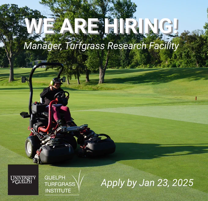 Promotional image by University of Guelph Turfgrass Institute featuring a person operating a lawn mower on a golf course, text reads 'WE ARE HIRING! Manager, Turfgrass Research Facility. Apply by Jan 23, 2025.'