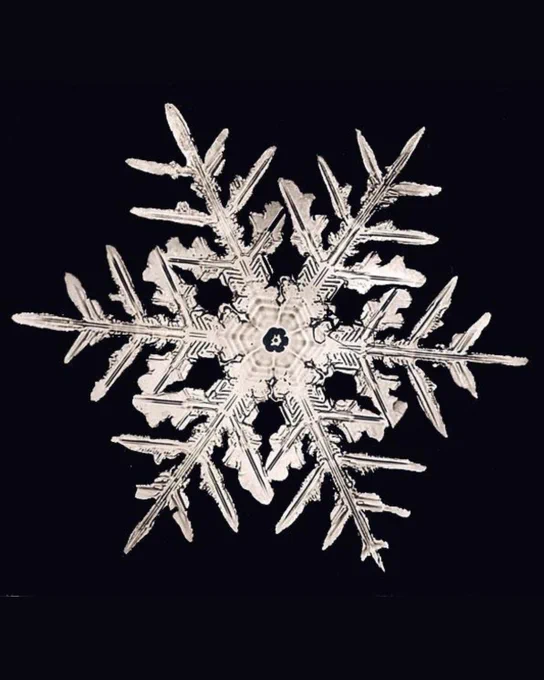 On black background, photo in white of a single snowflake with six points and a circle in the center. 