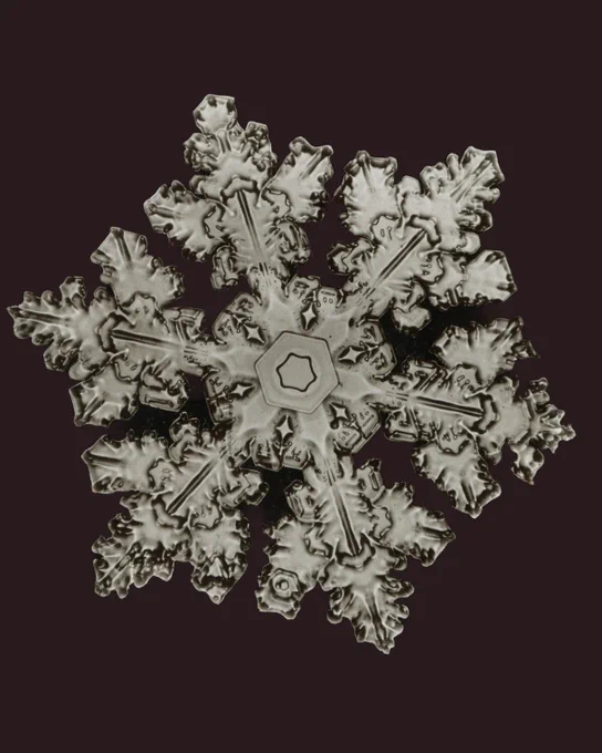 On black background, photo in white of a single snowflake with six arms, each with three smaller branches, and a hexagon shape in the center. 