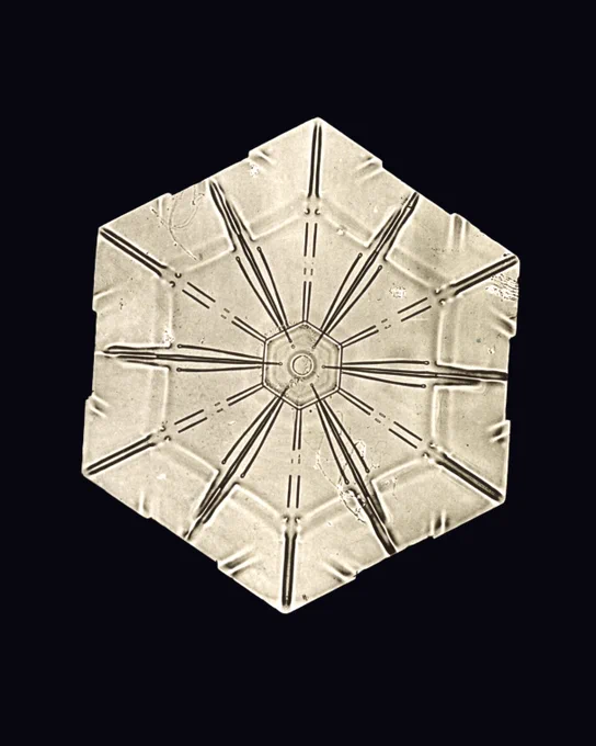 On black background, photo in white of a single snowflake with six points. It looks almost like a sand dollar type sea creature. It doesn't have branched arms like many snowflakes, instead a lot of it is solid in nature.