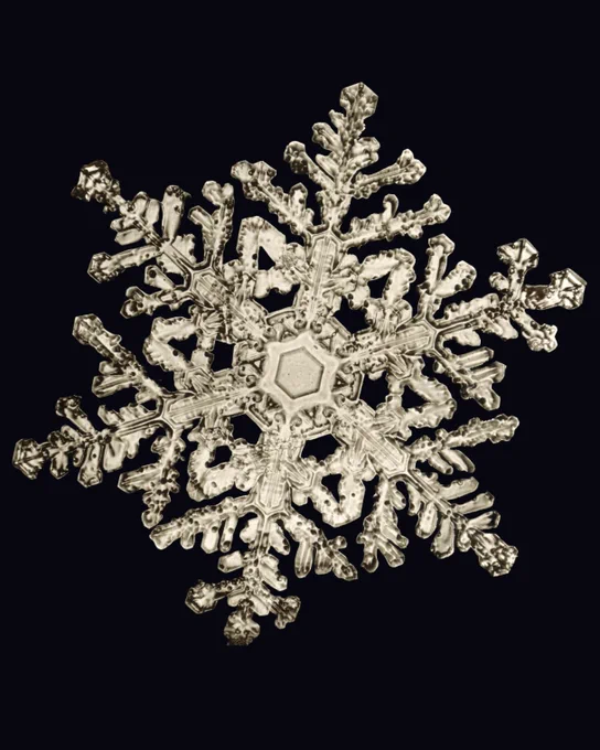 On black background, photo in white of a single snowflake with six points and a hexagon in the center. It has a ton of branches and almost a star shape.
