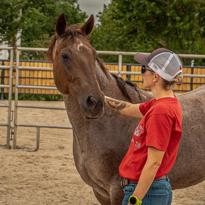 War Horse for Veterans