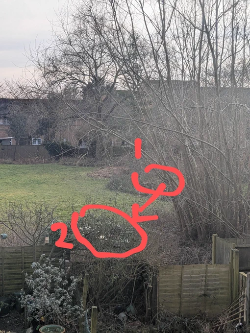 Common ground behind houses with 2 locations marked: (1) shows where a flytipped mattress previously lay, but was moved by workers to enable tree surgery; (2) shows its new location, much closer to residential properties