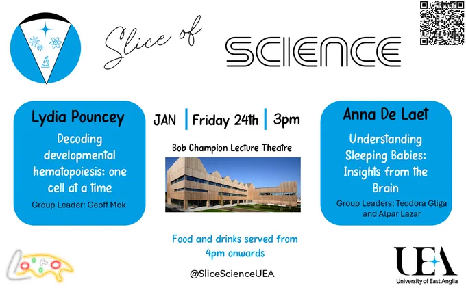 Poster for the event 'Slice of Science' at the University of East Anglia (UEA). The event is scheduled for Friday, January 24th, at 3 PM, in the Bob Champion Lecture Theatre.

Two presentations are highlighted:

1. Lydia Pouncey will present 'Decoding developmental hematopoiesis: one cell at a time.' Group Leader: Geoff Mok.


2. Anna De Laet will present 'Understanding Sleeping Babies: Insights from the Brain.' Group Leaders: Teodora Gliga and Alpar Lazar.



A photo of the Bob Champion Lecture Theatre is included. The UEA logo and a QR code are present at the top-right corner. The text mentions that food and drinks will be served from 4 PM onwards. Social media handle: @SliceofScienceUEA.