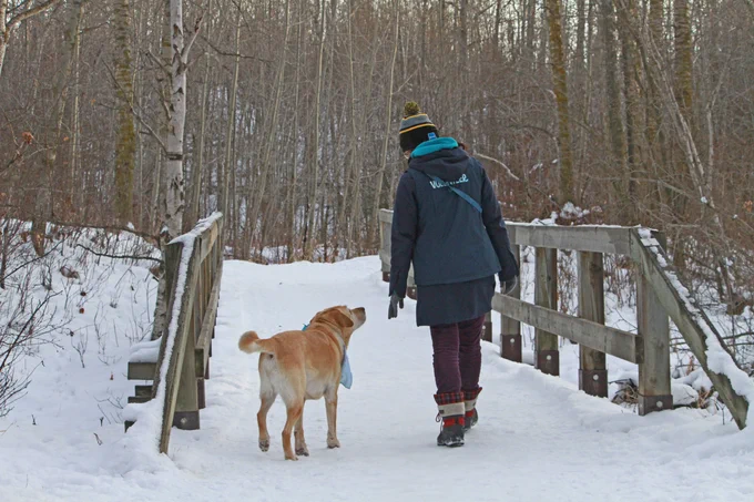 Woman and dog walking across a bridge in the winter 