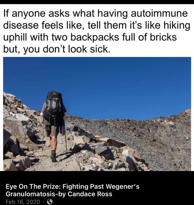 If anyone asks what having autoimmune disease feels like, tell them it's like hiking uphill with 2 backpacks full of bricks, but you don't look sick.

[a pic of a guy climbing a mountain]