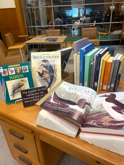 Photo of bird art book display. 