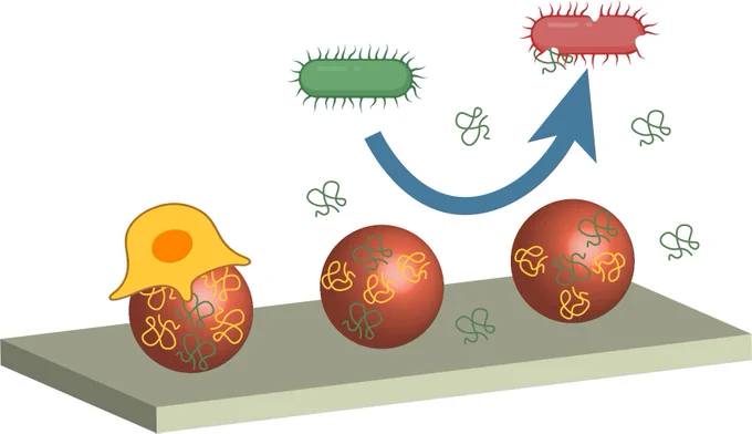 DYNAMIC: Advanced Antibacterial Biomaterials to Enhance Bone Regeneration