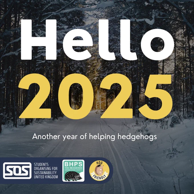 decorative background image: snowy scene. overlay text 'hello 2025, another year of helping hedgehogs'.
