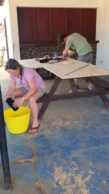 Constructing storm petrel nesting chambers