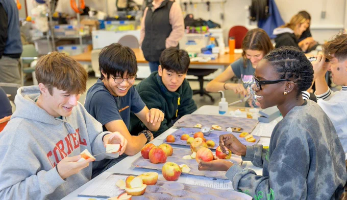 Students in the Plant Science 1101 class explore the composition of apples at Cornell Orchards. Photo by Sreang "C" Hok
