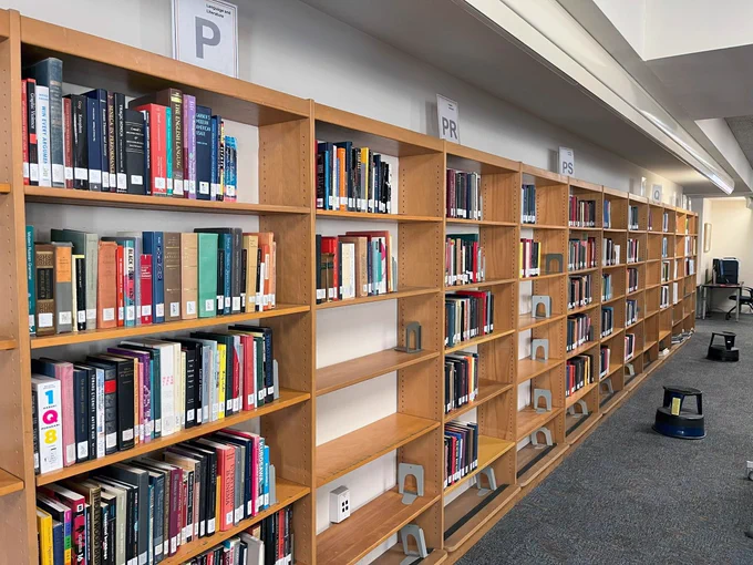 Books on a series of shelves.