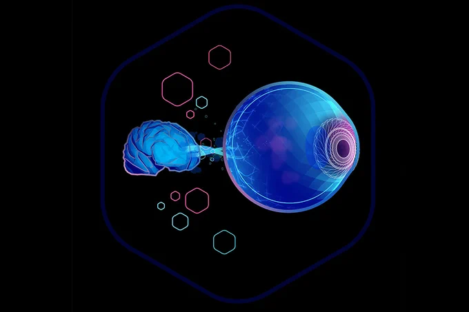 An artist's depiction of an eye connected to a brain.