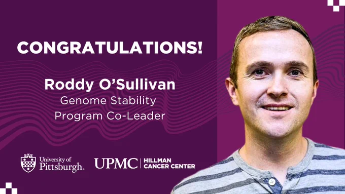 Congratulations to UPMC Hillman Cancer Center's Genome Stability Program's new co-lead, Roddy O'Sullivan!