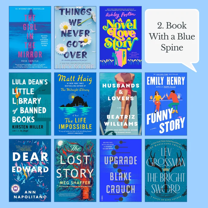 2. Book with a blue spine with 11 book covers including the girl in the mirror, funny story, etc