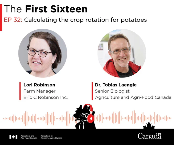 The First Sixteen. EP 32: Calculating the crop rotation for potatoes. Lori Robinson, Farm Manager, Eric C Robinson Inc. Dr. Tobias Laengle, Senior Biologist, Agriculture and Agri-Food Canada.